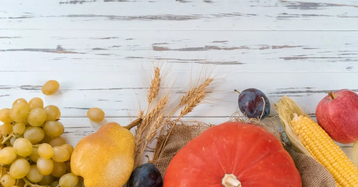 Tout savoir sur la gastronomie de Provence