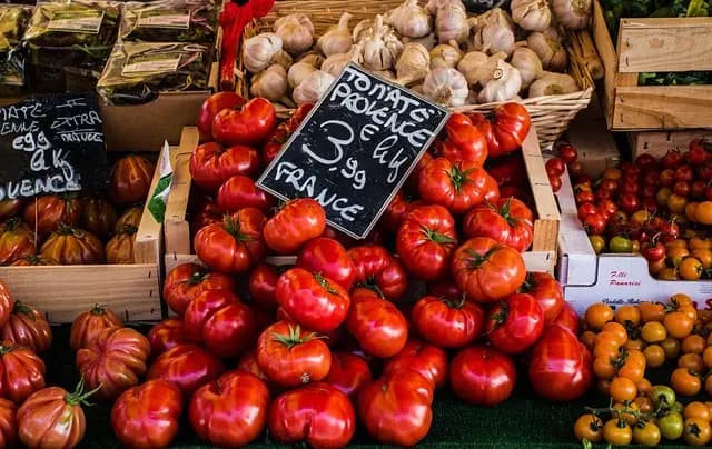 Les influenceurs incontournables de la gastronomie régionale